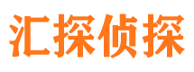 萨嘎调查事务所